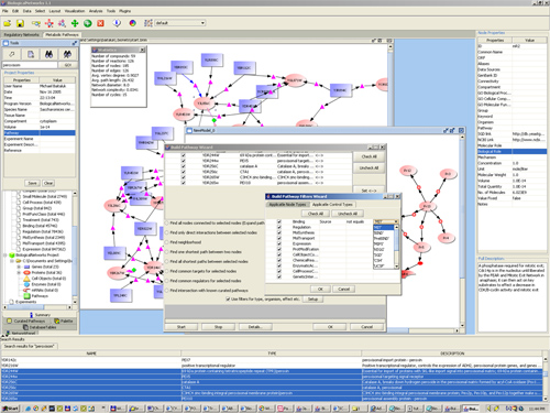 Querying Wizard of BiologicalNetworks