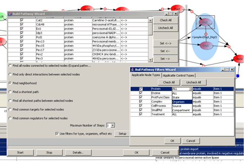 Wizard with filters of BiologicalNetworks