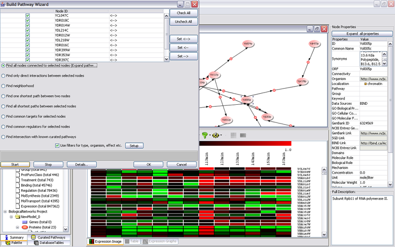 Fig.1.17.1 Build Pathways for selected expression values