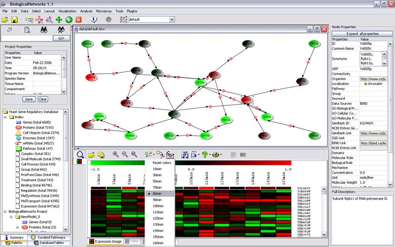 Fig.1.16.1 Color network by expression values